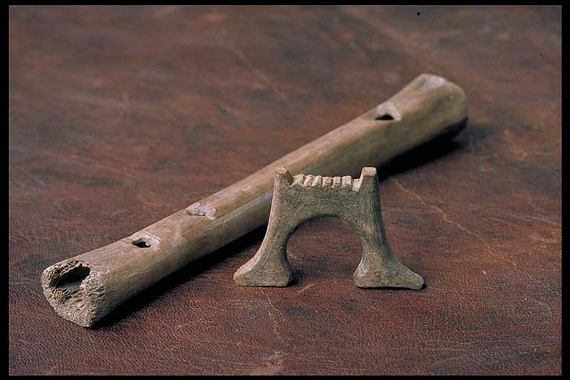 VikingAge instruments Danheim Official Page